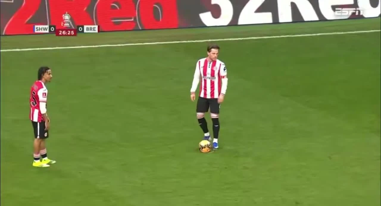 zaslepka skrotu video