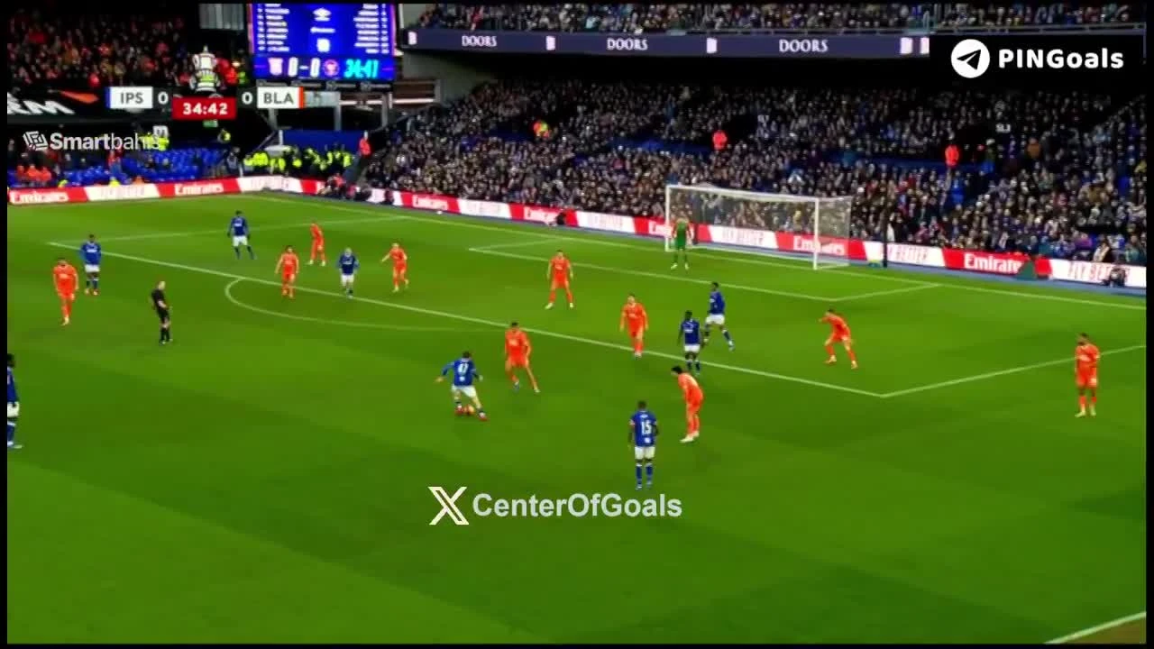 zaslepka skrotu video