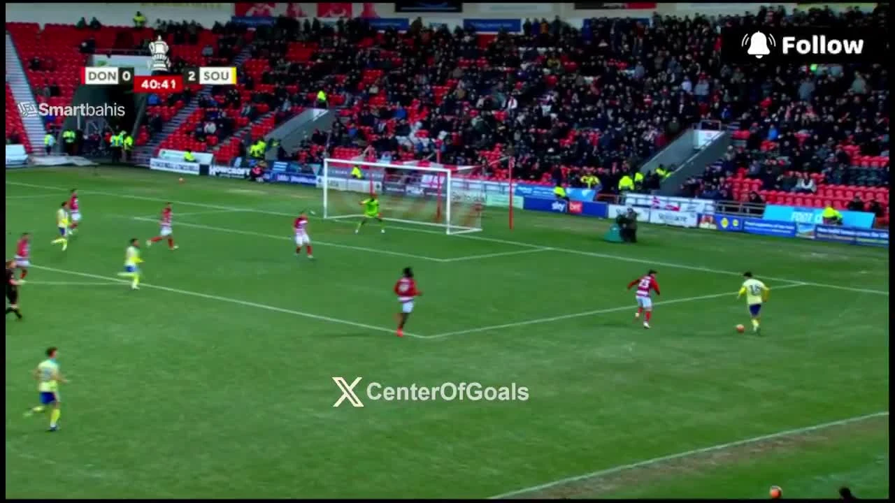 zaslepka skrotu video