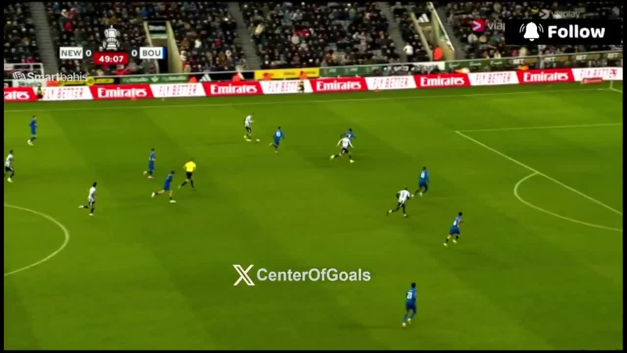 zaslepka skrotu video