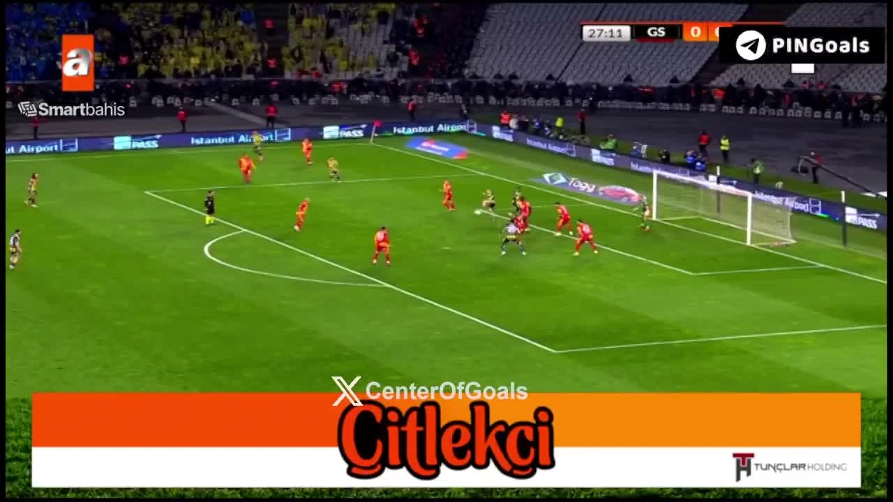 zaslepka skrotu video