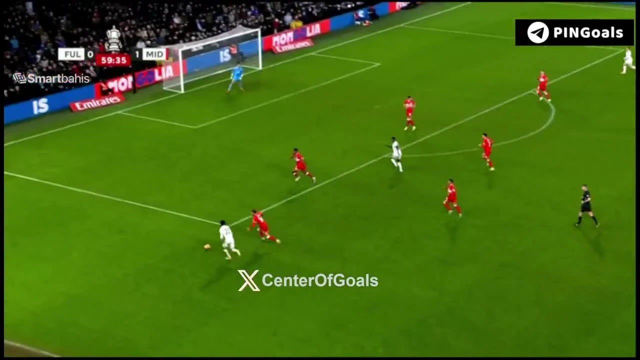 zaslepka skrotu video