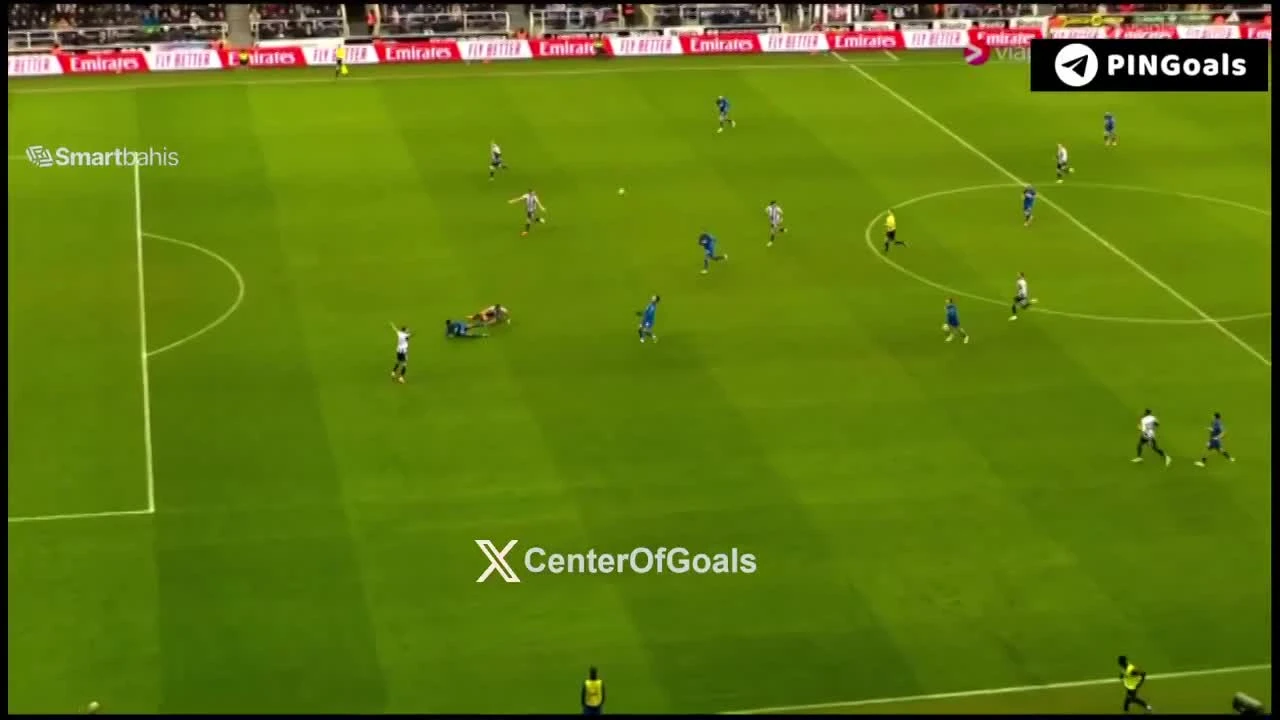 zaslepka skrotu video