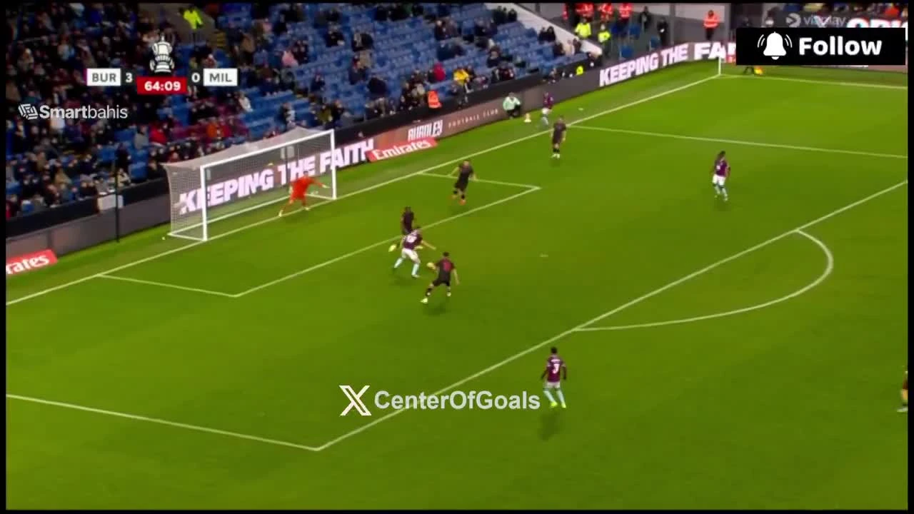 zaslepka skrotu video