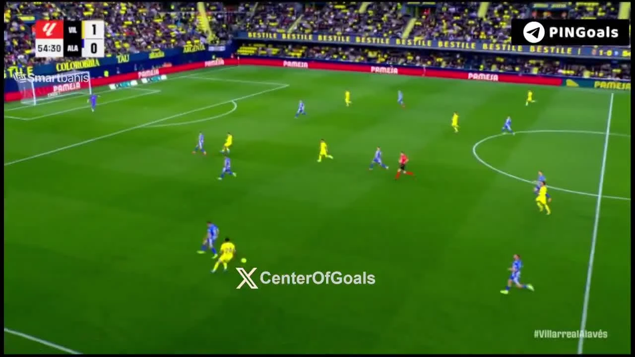 zaslepka skrotu video