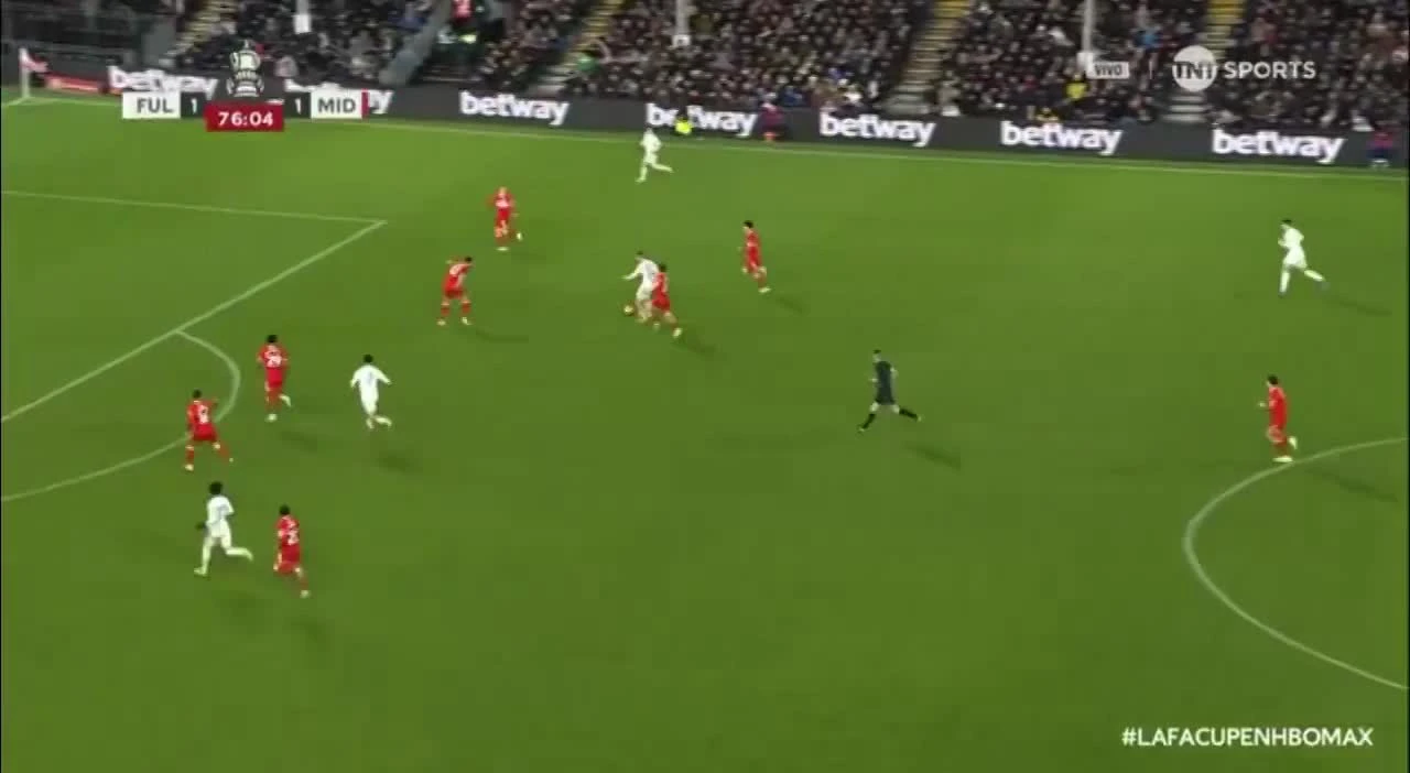 zaslepka skrotu video