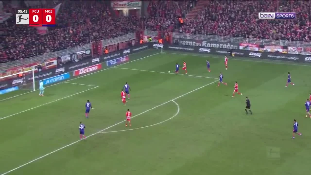 zaslepka skrotu video