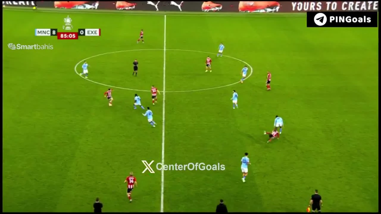 zaslepka skrotu video