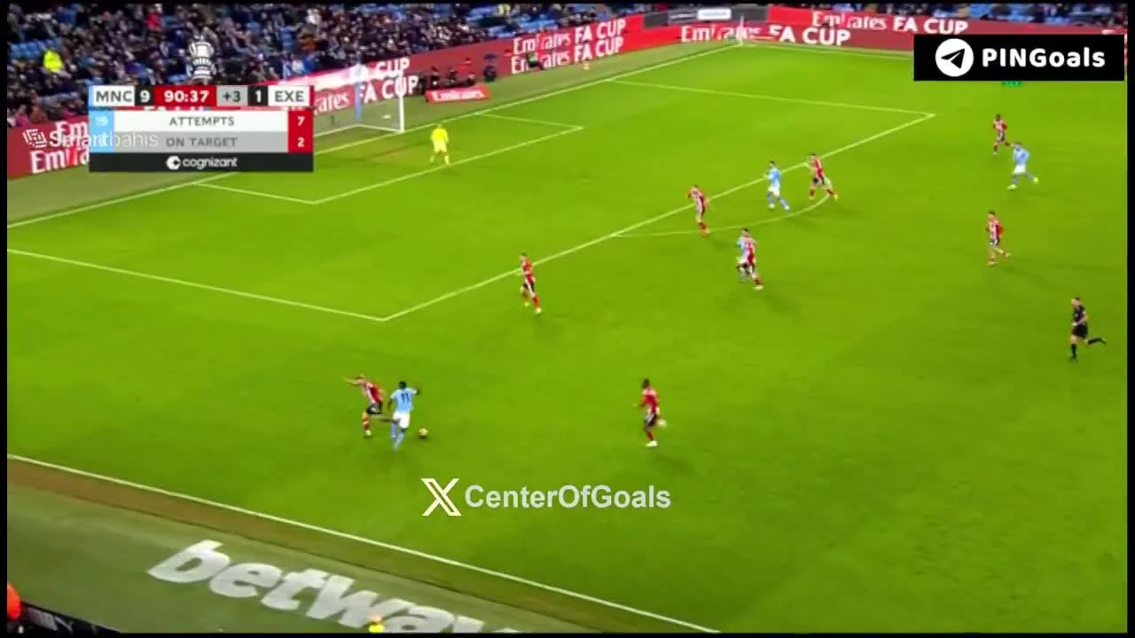 zaslepka skrotu video