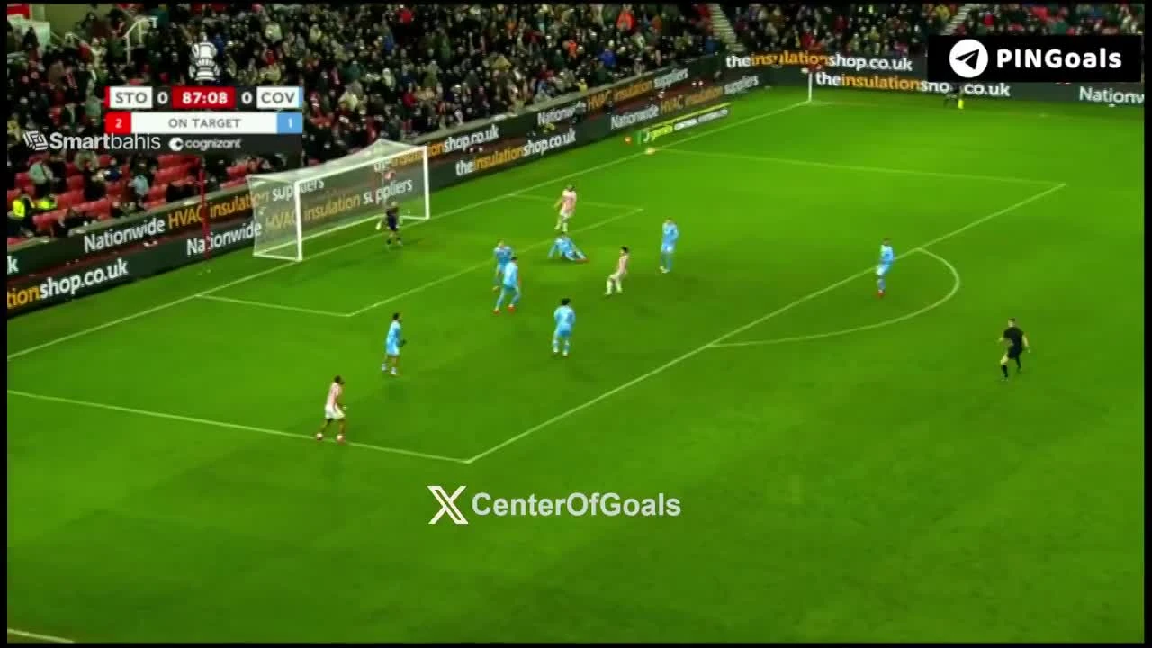 zaslepka skrotu video