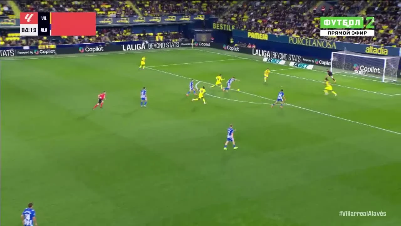 zaslepka skrotu video