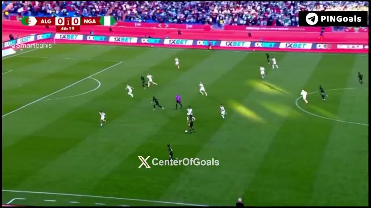 zaslepka skrotu video