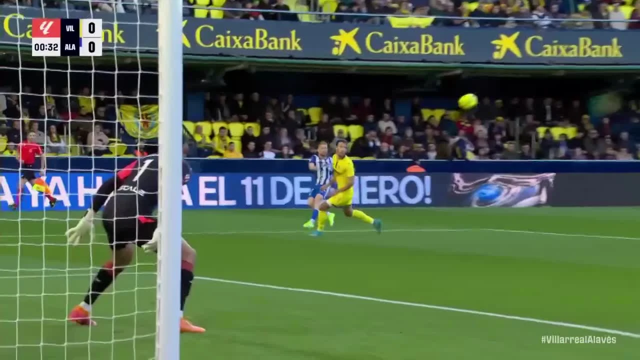 zaslepka skrotu video