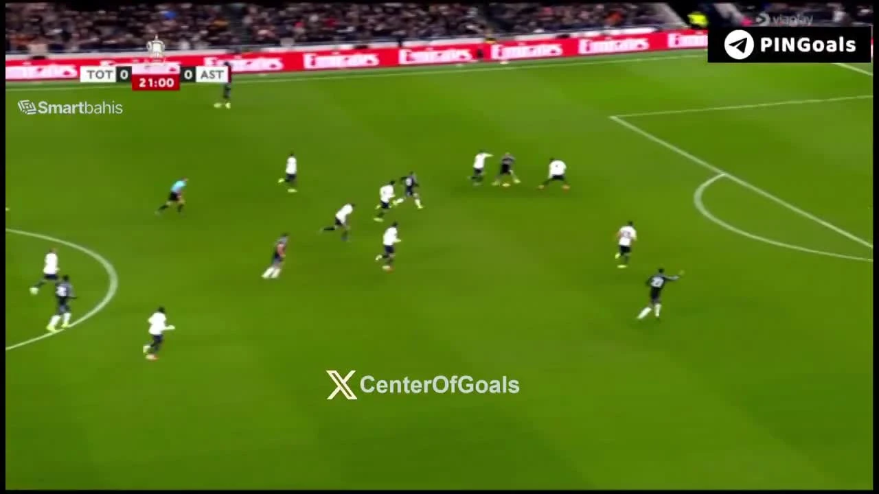 zaslepka skrotu video