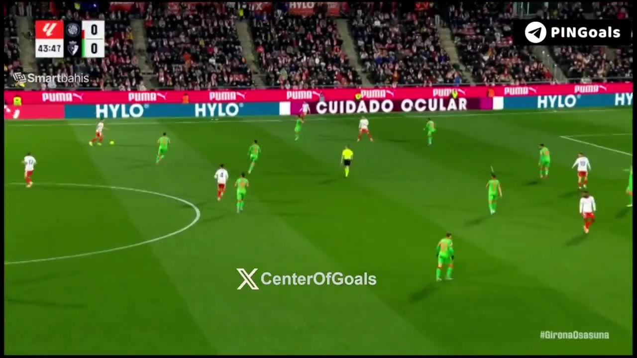 zaslepka skrotu video