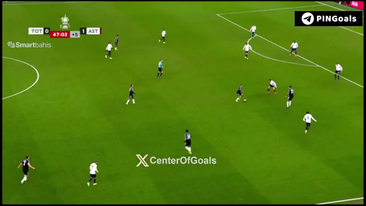 zaslepka skrotu video