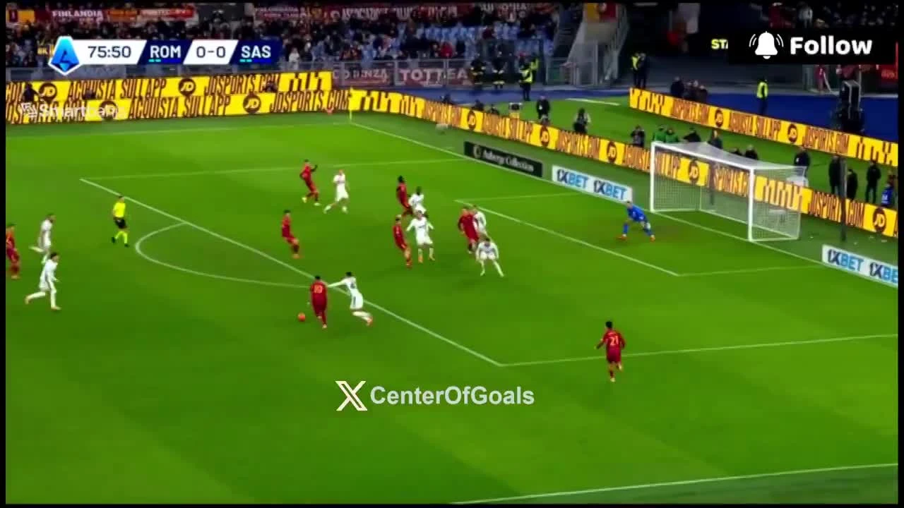 zaslepka skrotu video