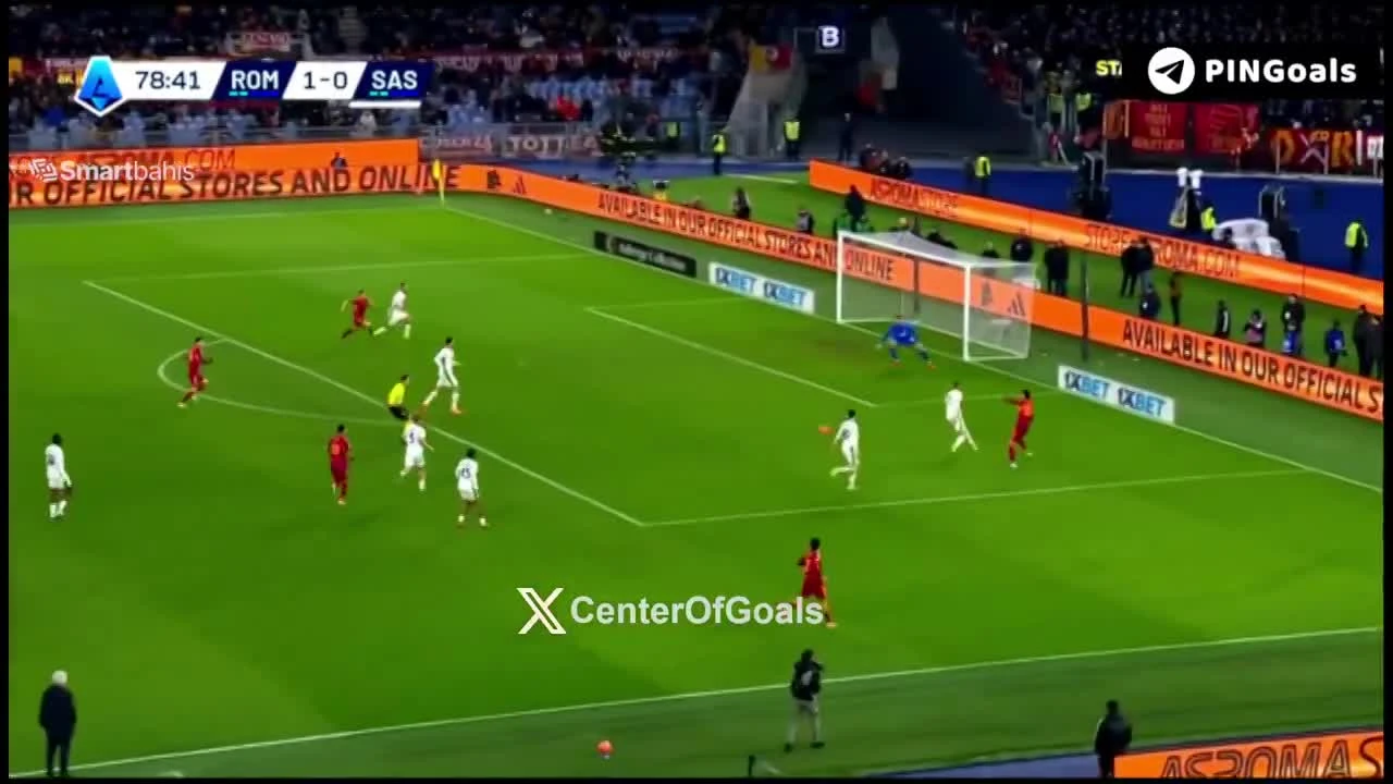 zaslepka skrotu video