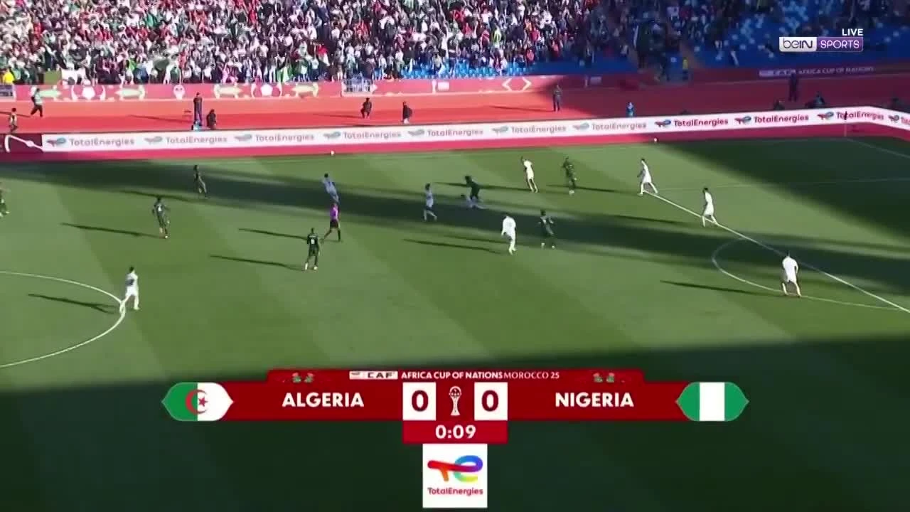 zaslepka skrotu video