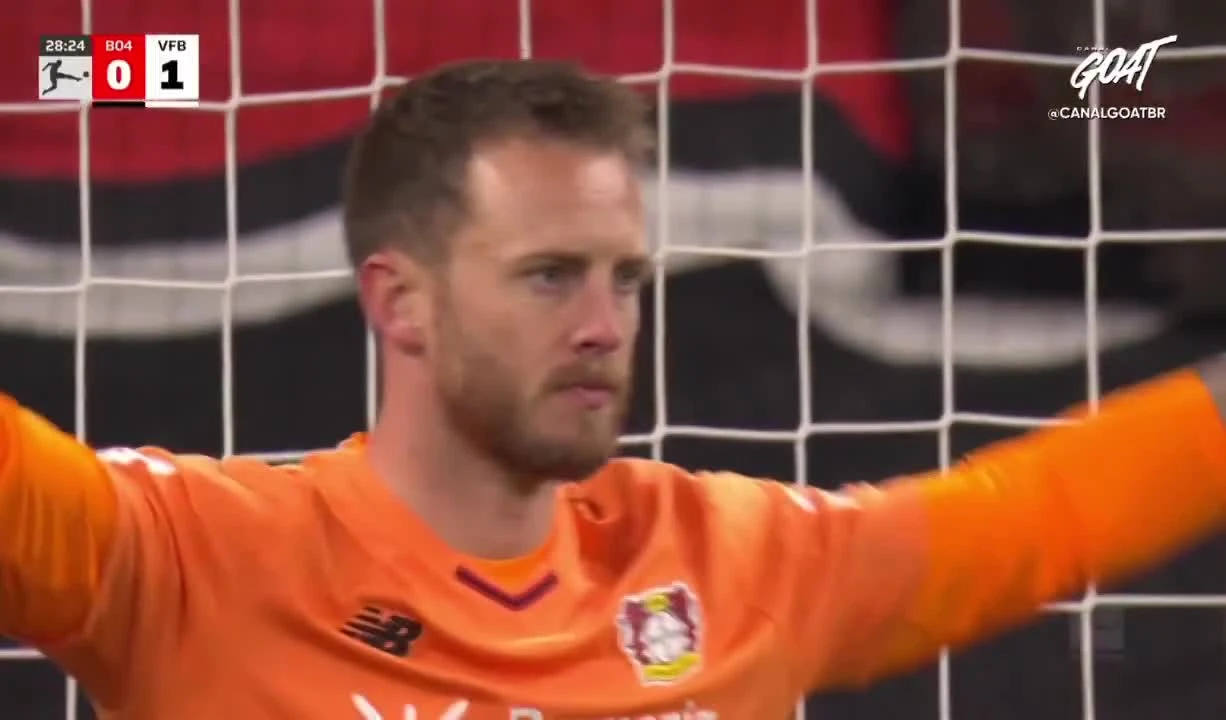 zaslepka skrotu video