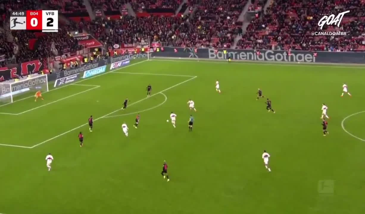 zaslepka skrotu video