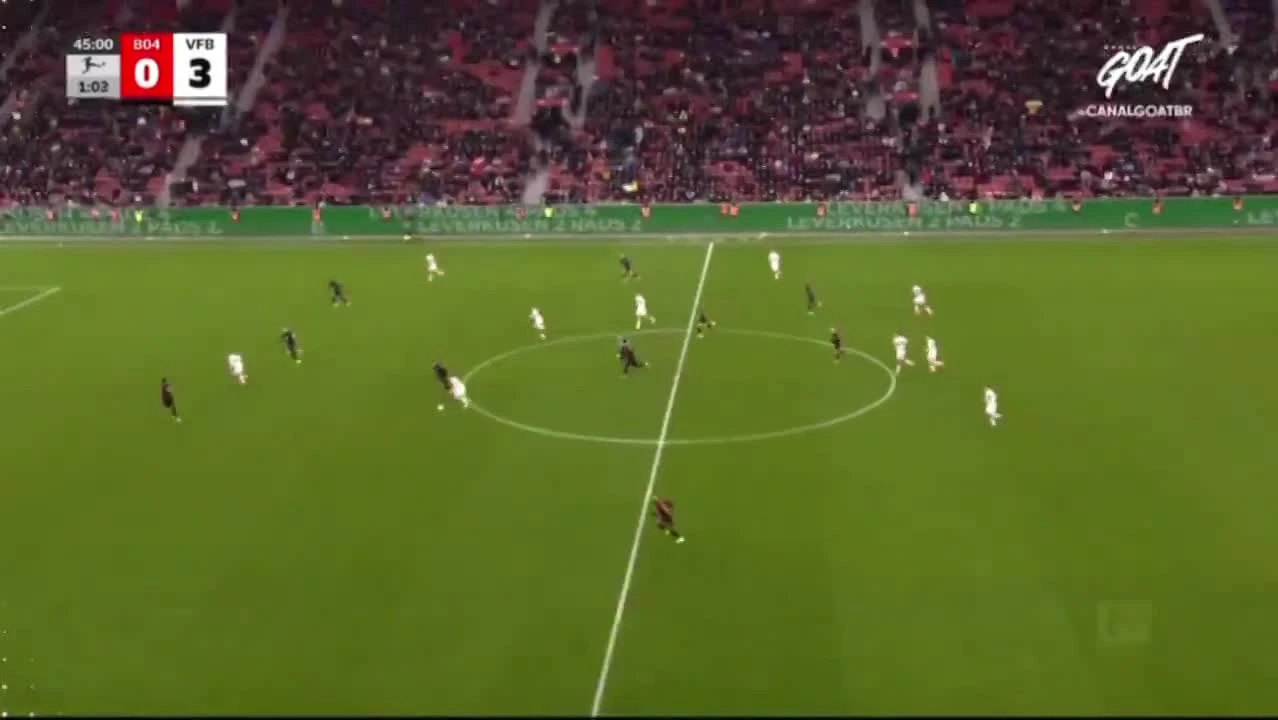 zaslepka skrotu video