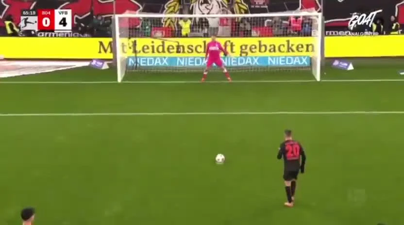 zaslepka skrotu video