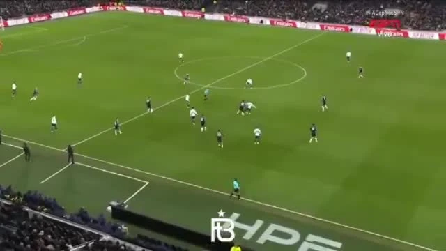 zaslepka skrotu video