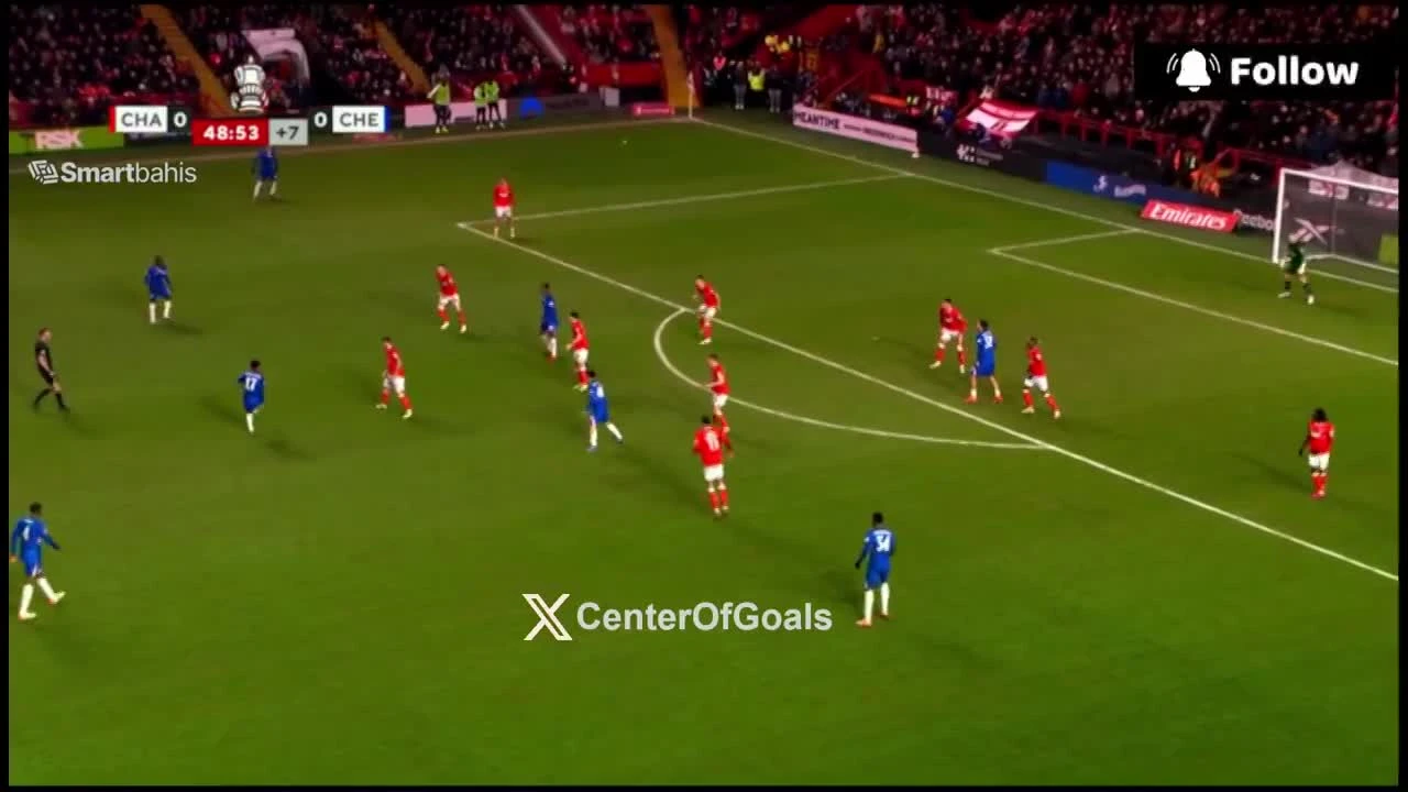 zaslepka skrotu video