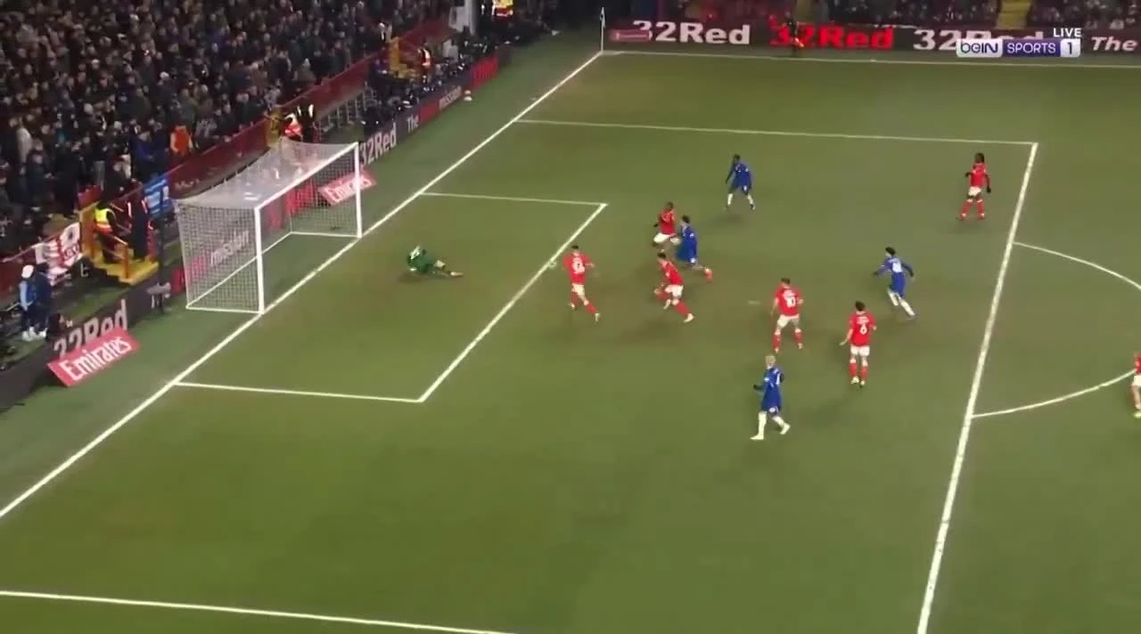 zaslepka skrotu video