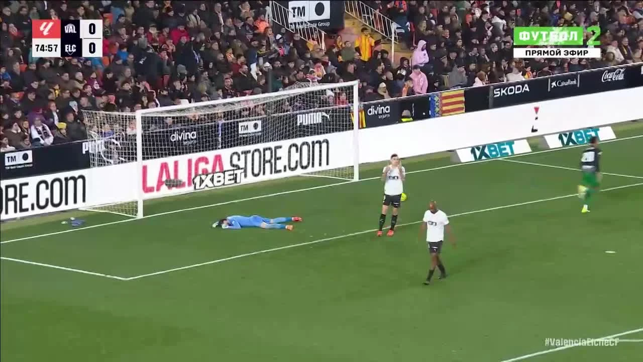 zaslepka skrotu video