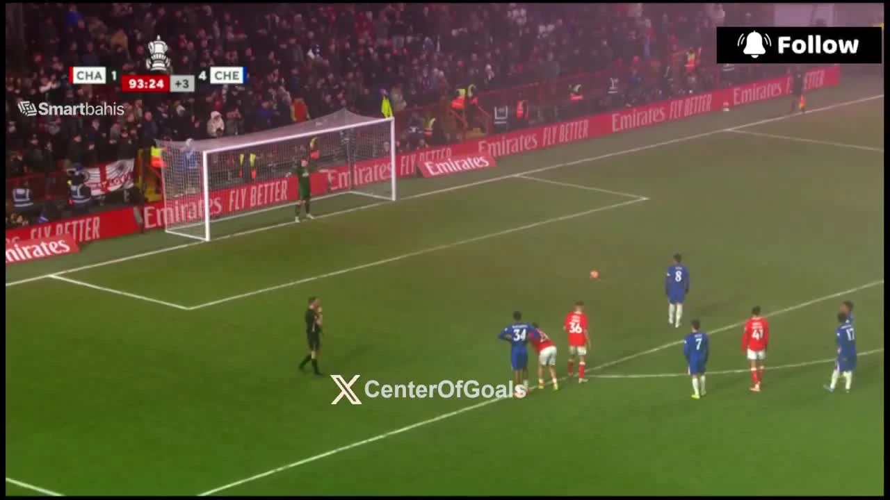 zaslepka skrotu video