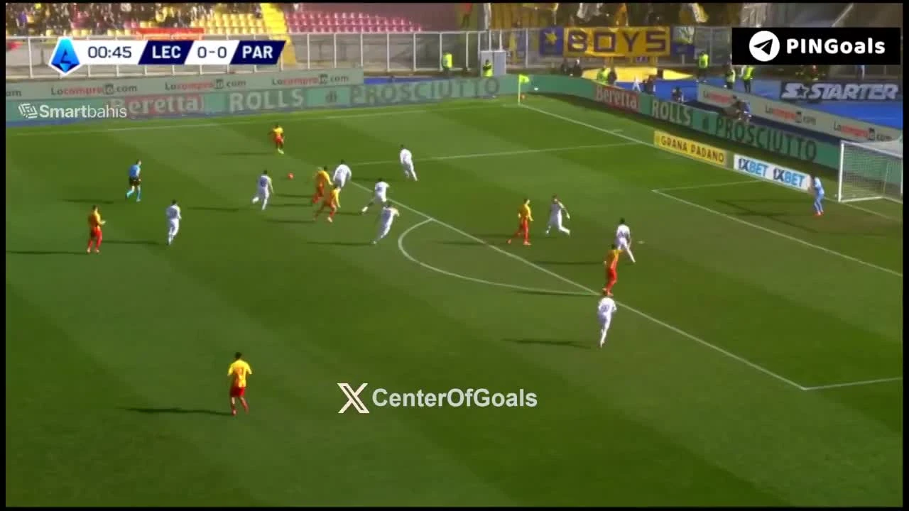 zaslepka skrotu video