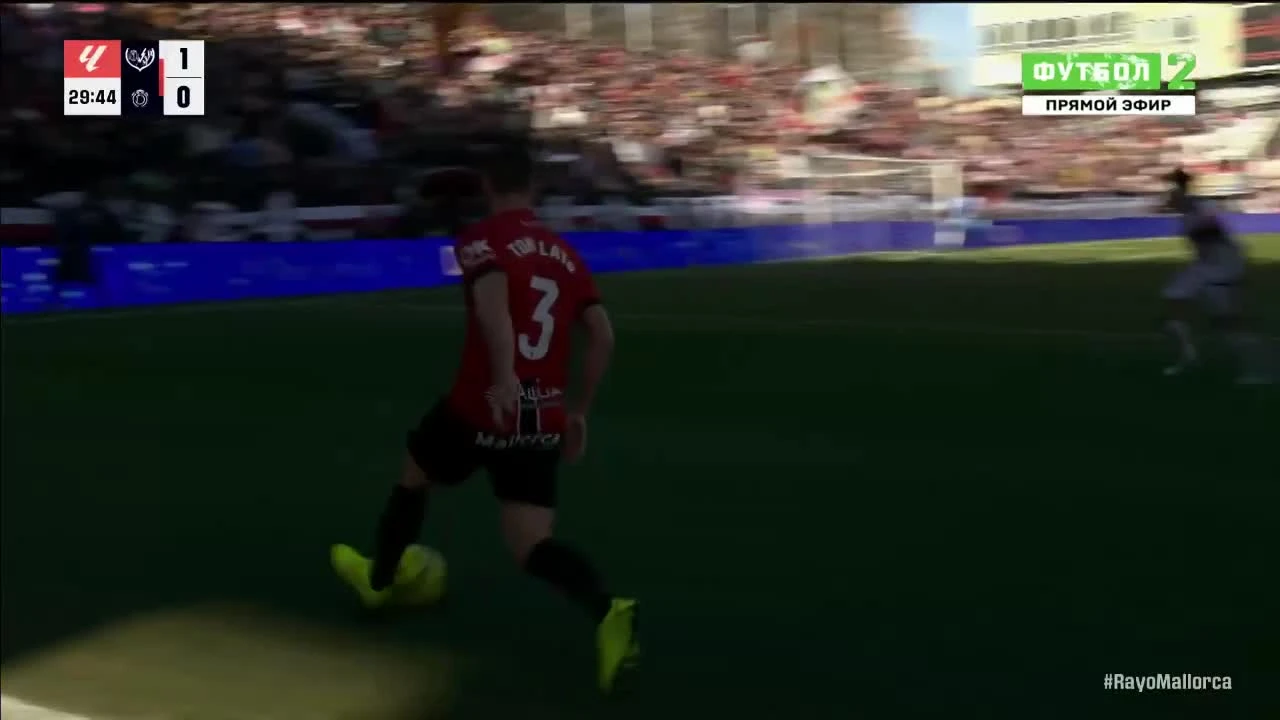 zaslepka skrotu video