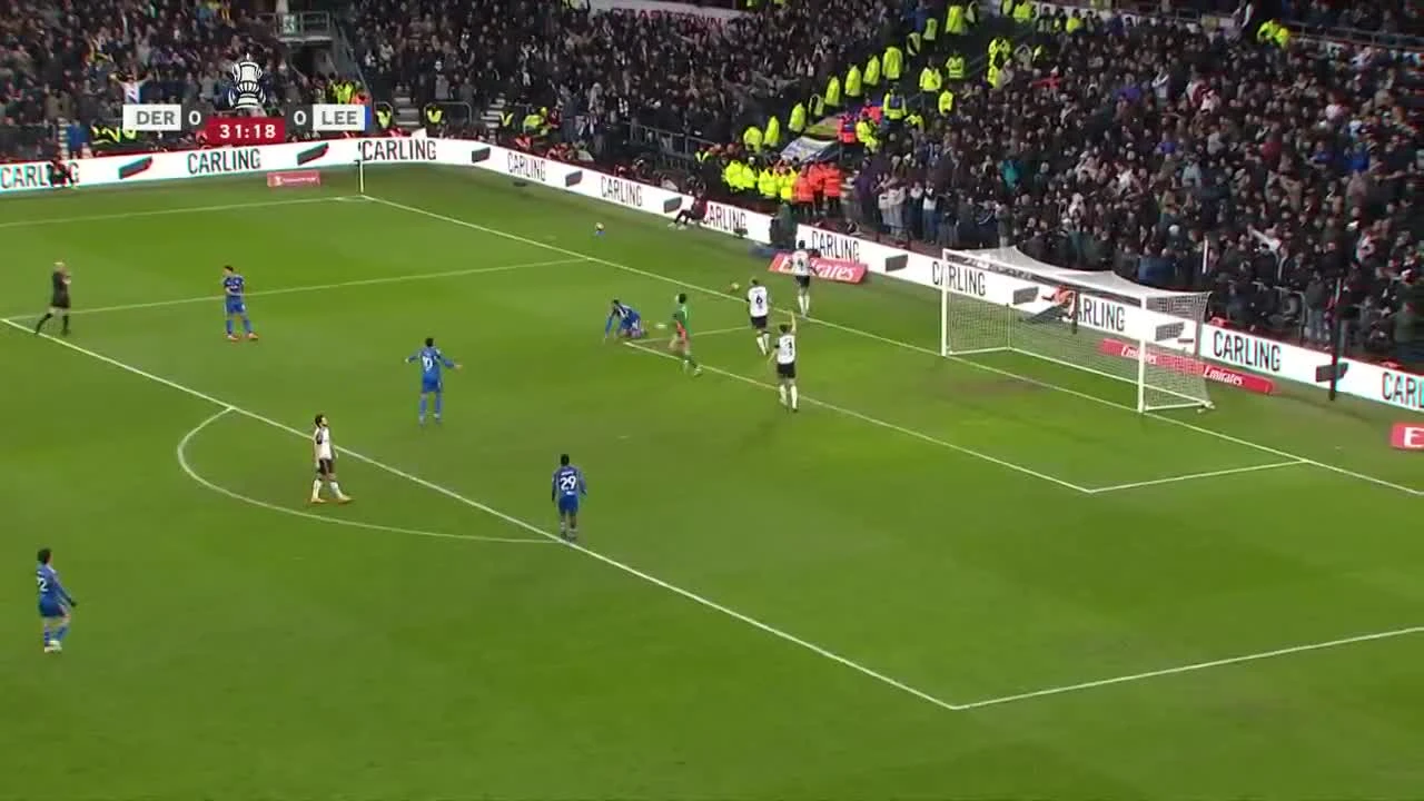 zaslepka skrotu video