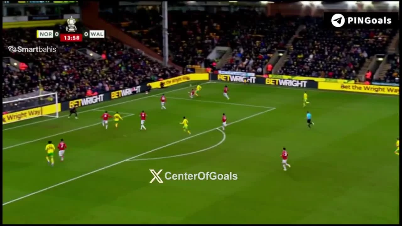 zaslepka skrotu video