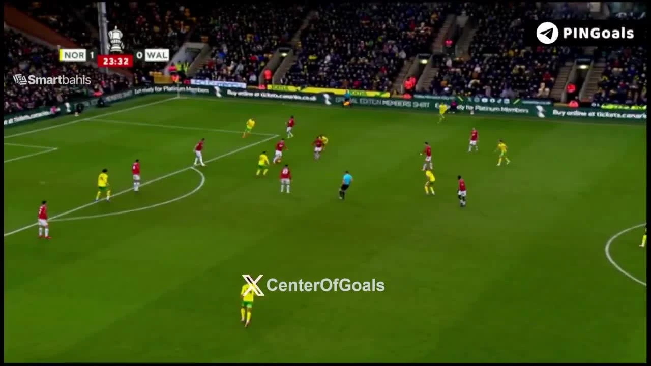 zaslepka skrotu video