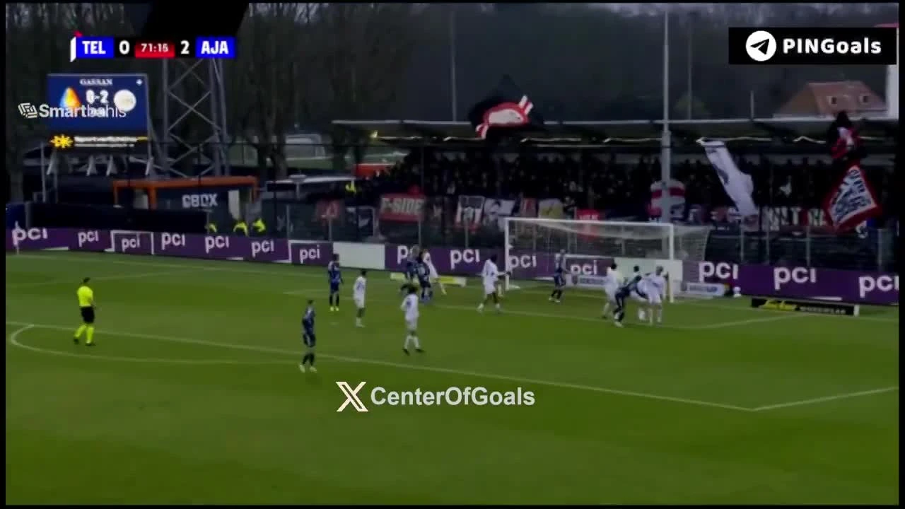 zaslepka skrotu video