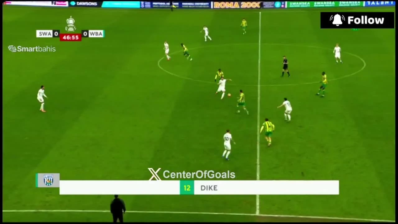 zaslepka skrotu video