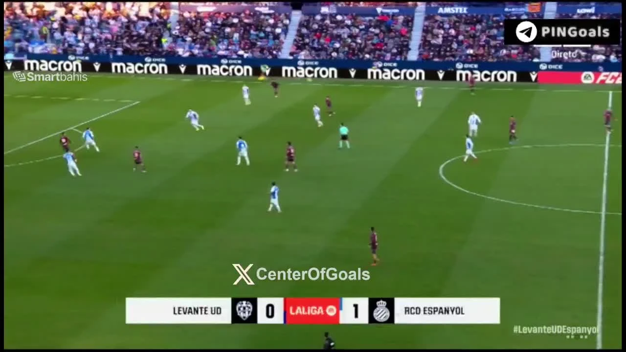 zaslepka skrotu video