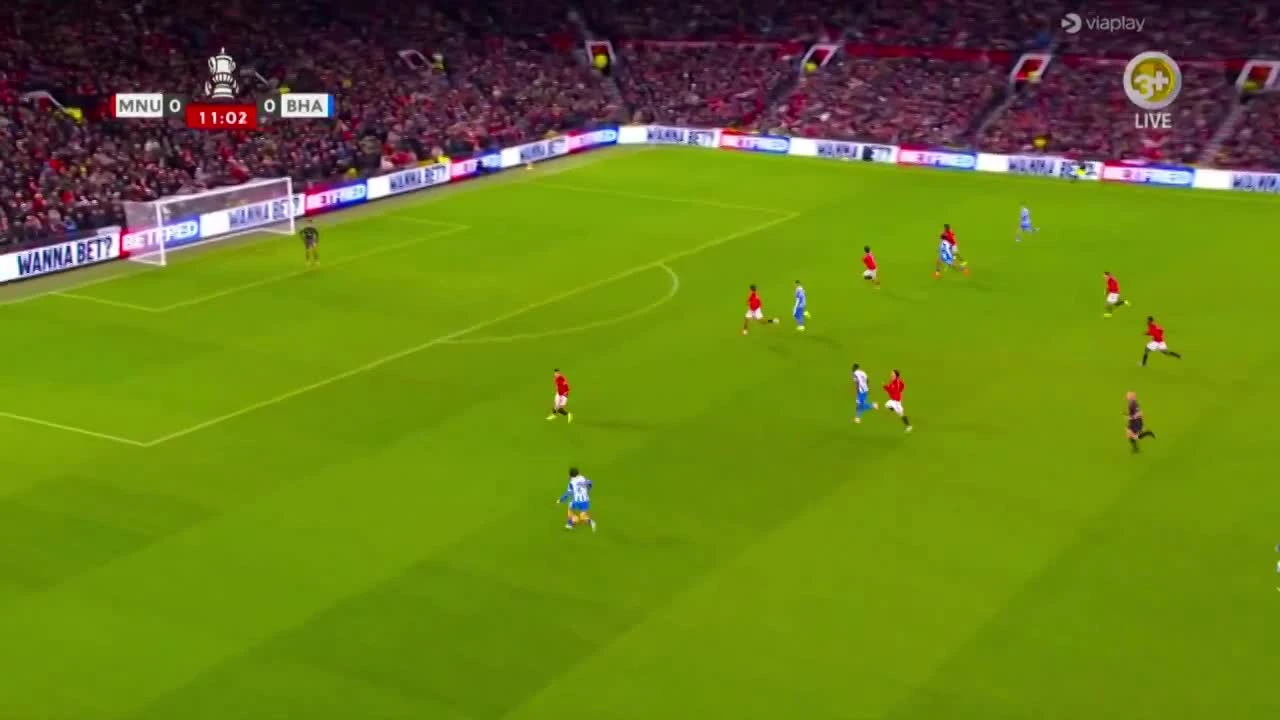 zaslepka skrotu video