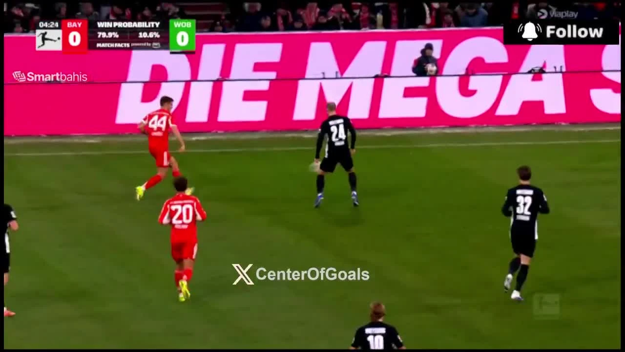 zaslepka skrotu video