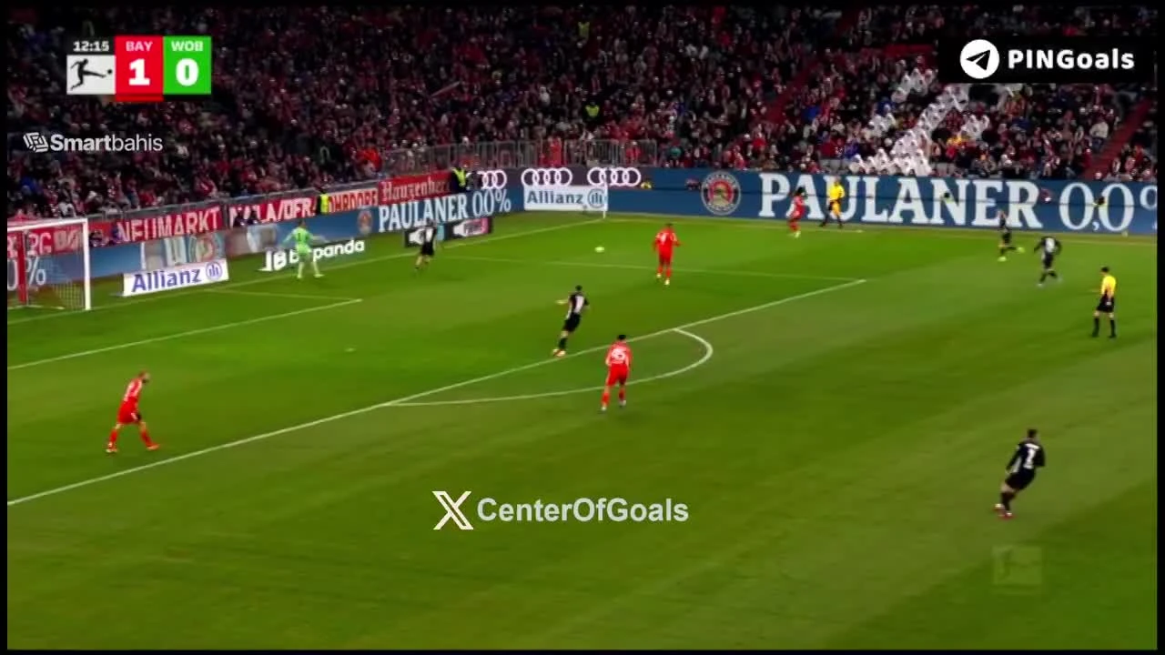 zaslepka skrotu video