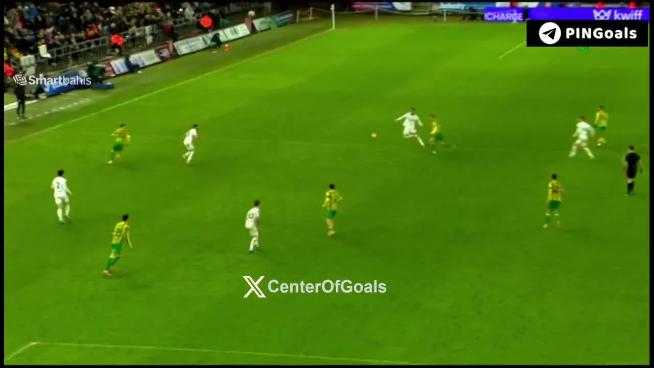 zaslepka skrotu video