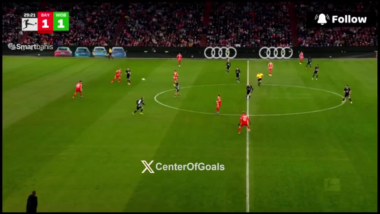 zaslepka skrotu video