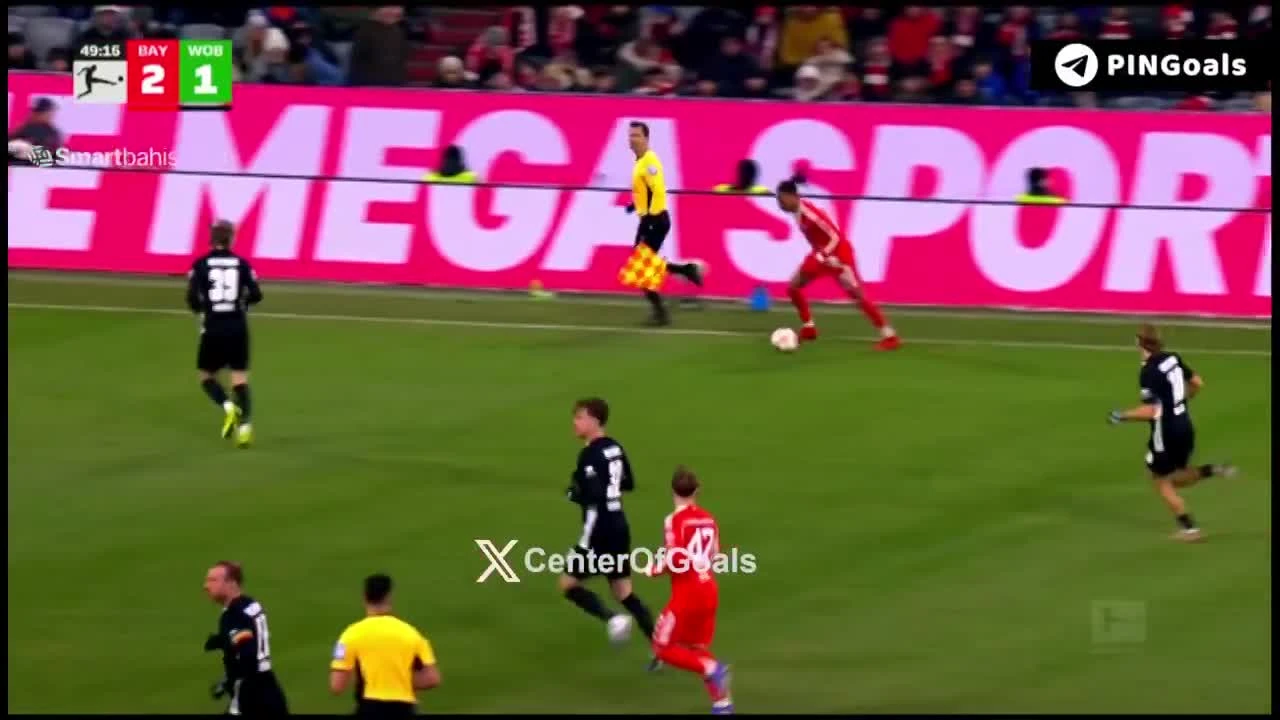 zaslepka skrotu video