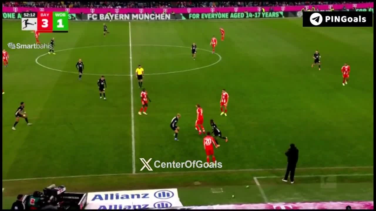 zaslepka skrotu video