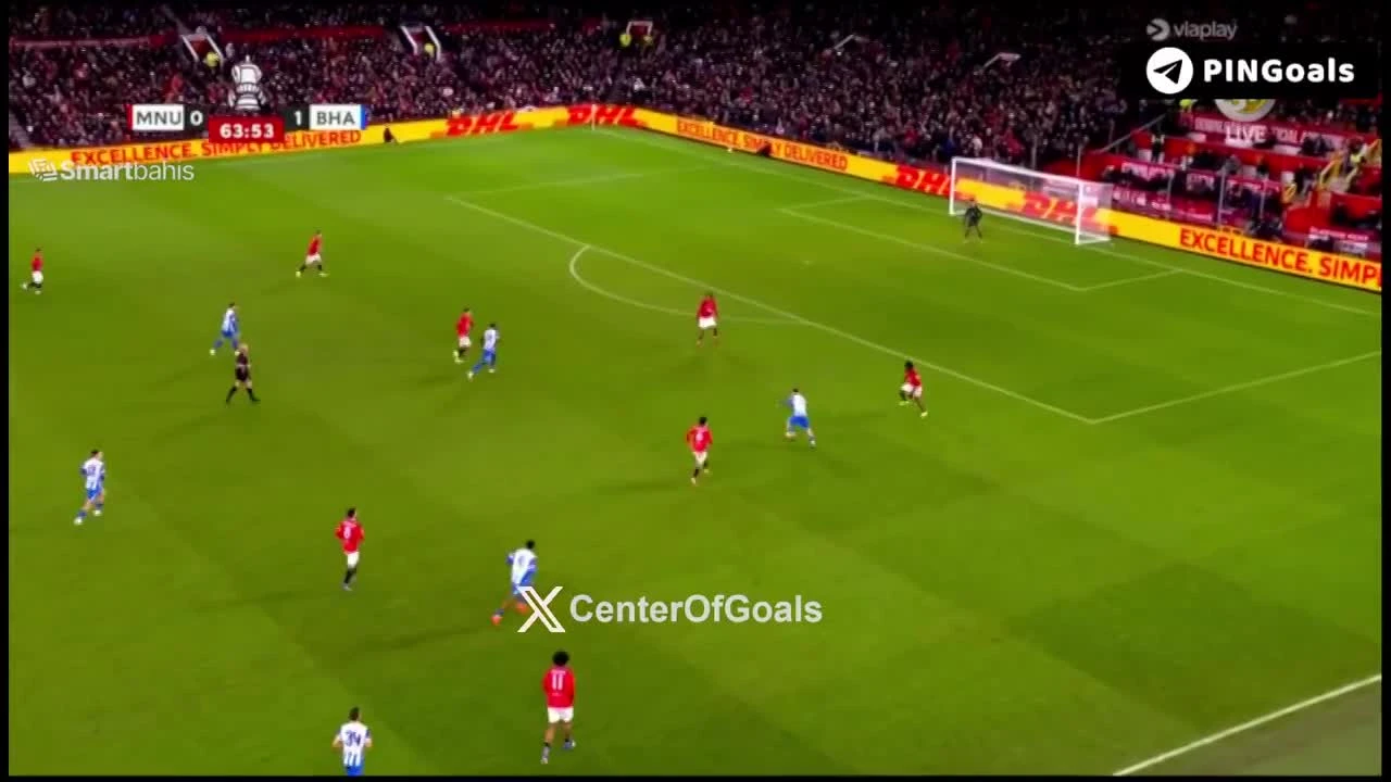 zaslepka skrotu video