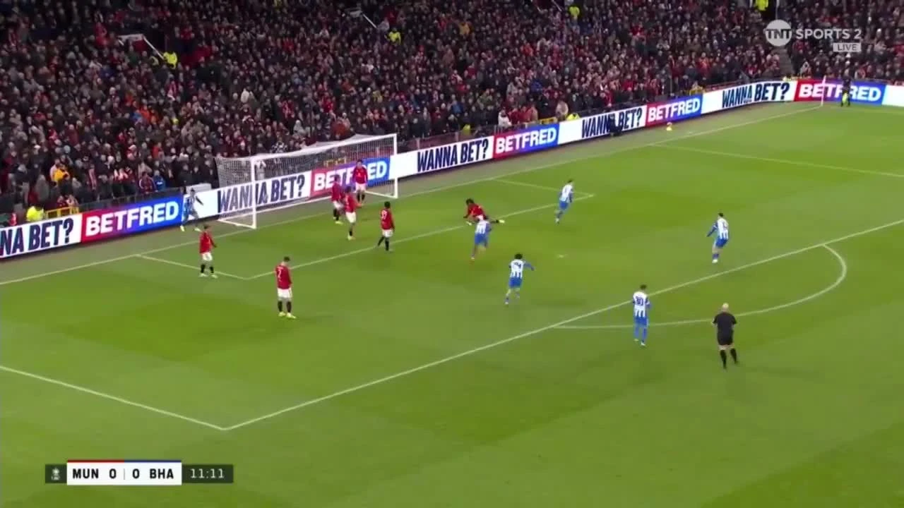 zaslepka skrotu video