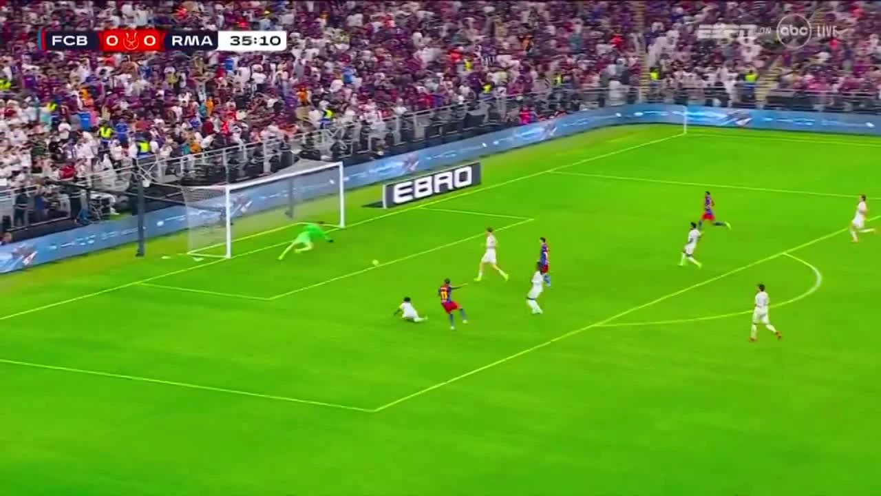 zaslepka skrotu video